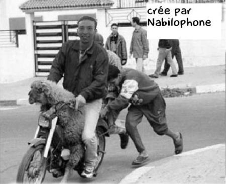 intervention ... Nabil , Khallat fi Siyassa!!